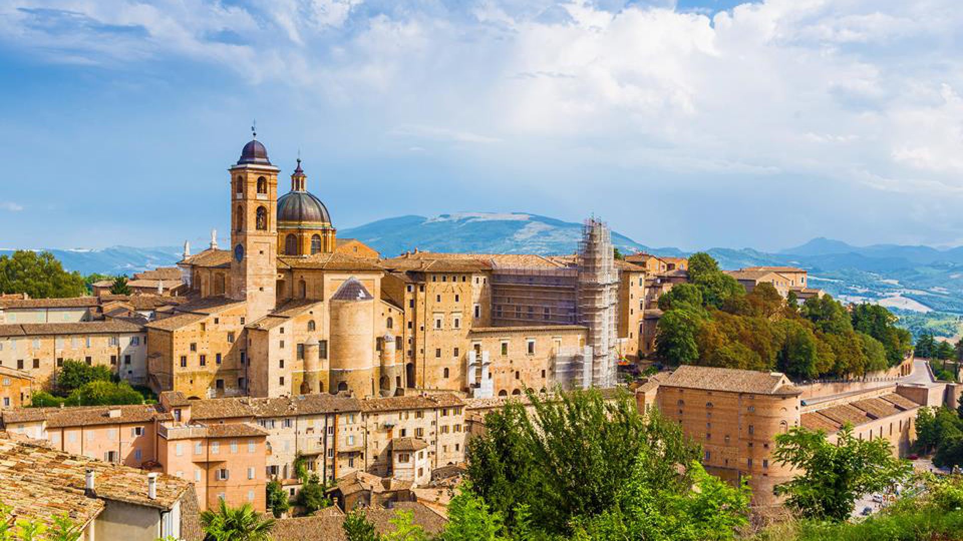 Urbino